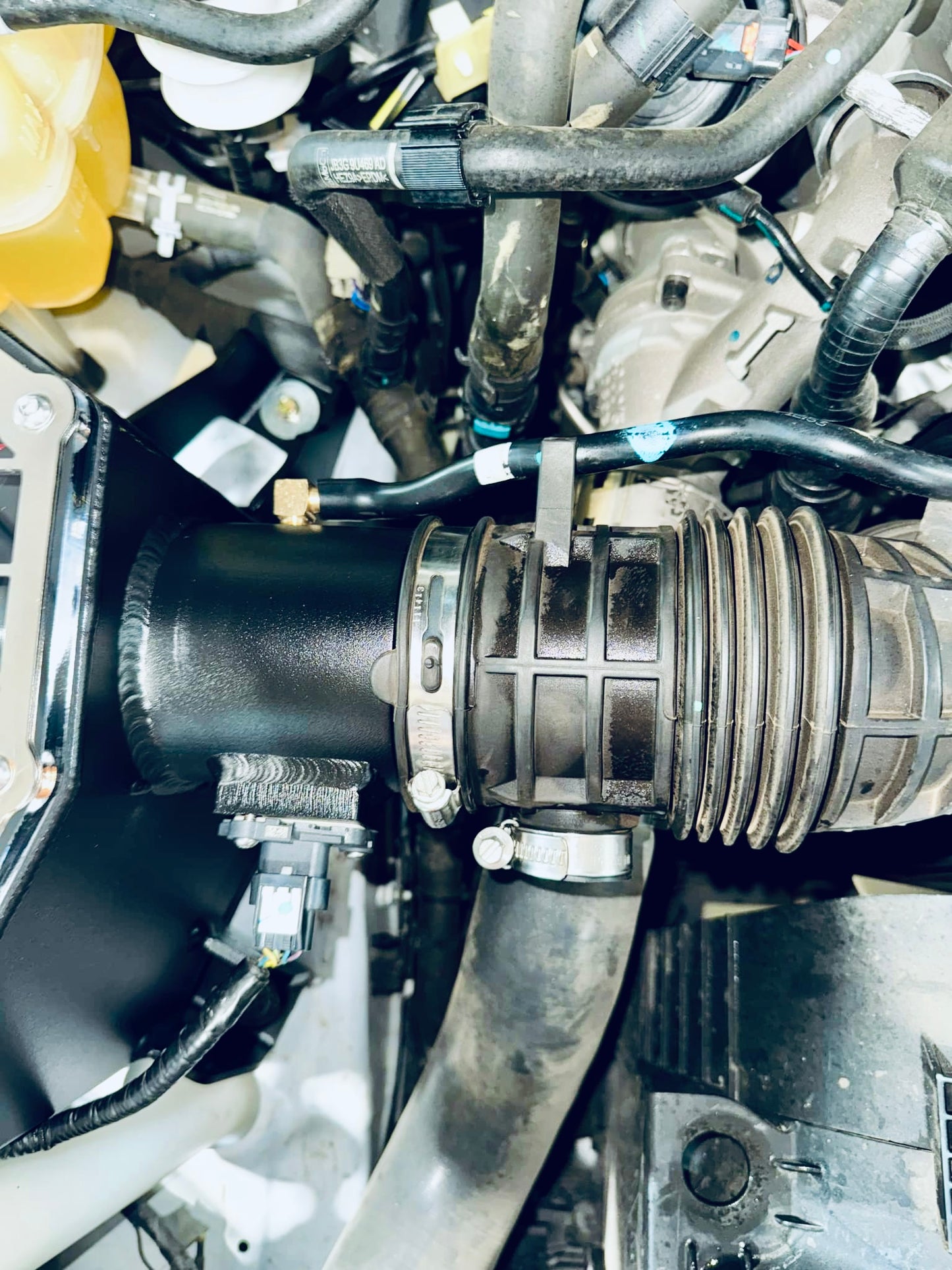 Ford Ranger PX (Bi-Turbo WildTrak) - Clear Top Airbox