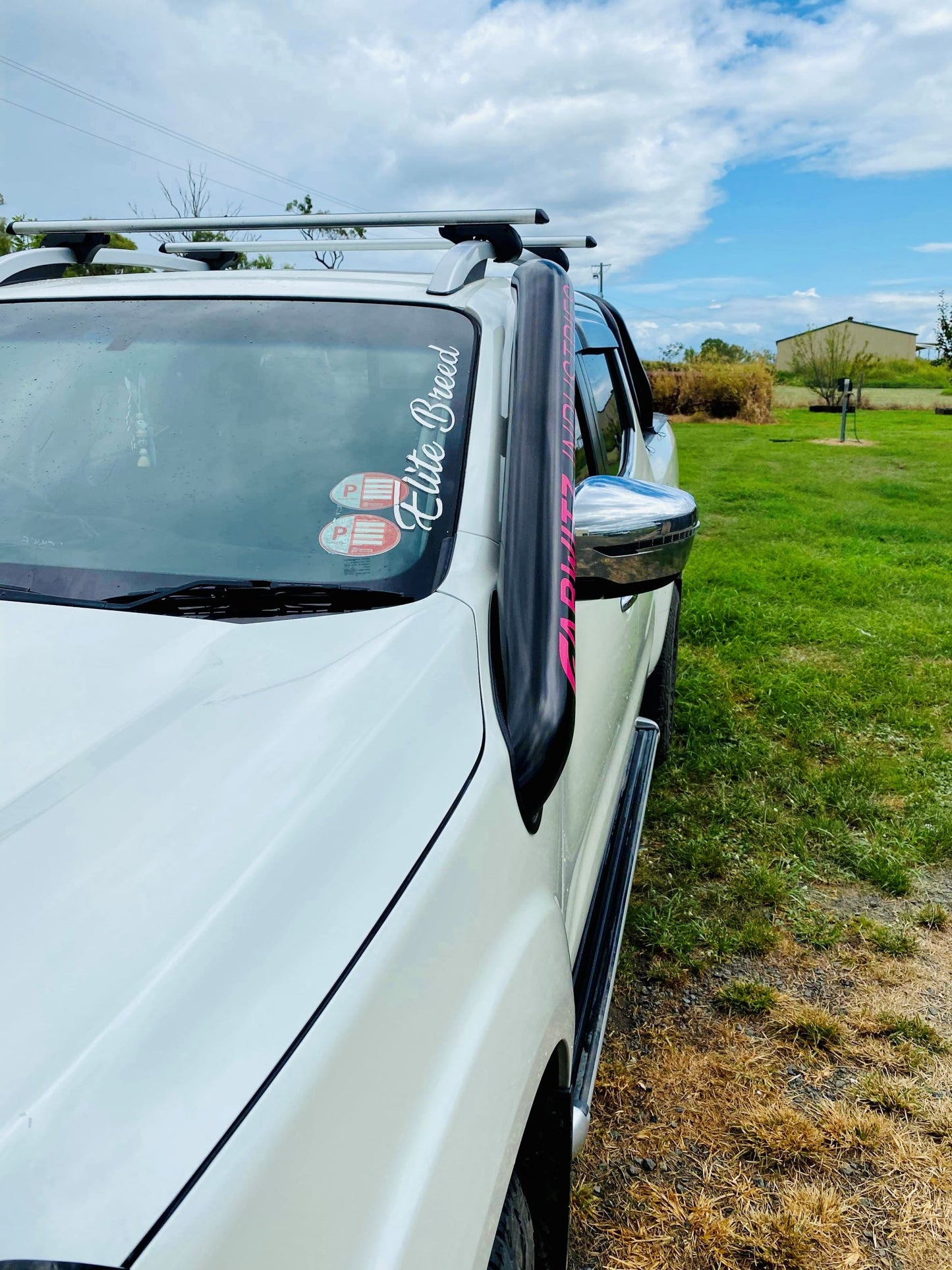 Nissan Navara (D23) NP300 4" DUAL Short Entry Snorkels