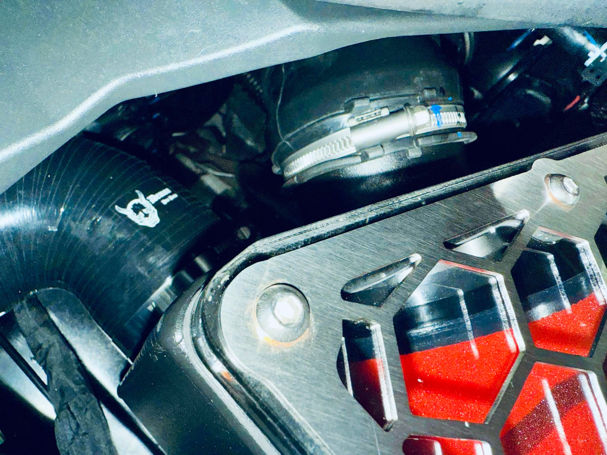 BYD Shark 6 Hybrid (2024+) - Clear Top Airbox