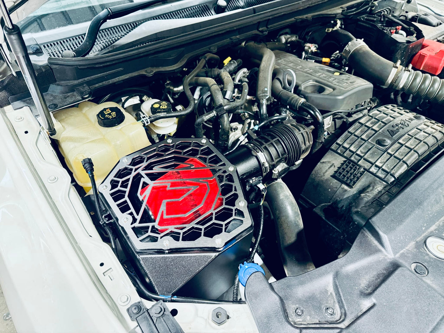 Ford PX Ranger (Bi-Turbo WildTrak) - Short Entry Snorkel & Clear Top Airbox Package